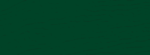 Evergreen colour for steel Garaga garage doors